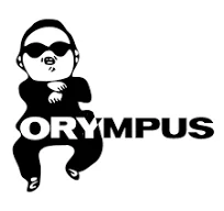 OM SYSTEM