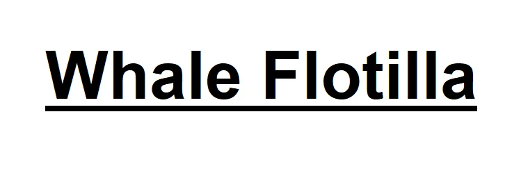Whale Flotilla