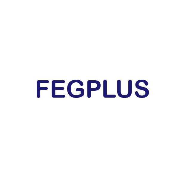 FEGPLUS