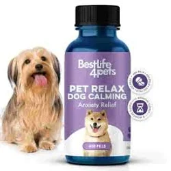 آرام بخش و ضد اضطراب سگ