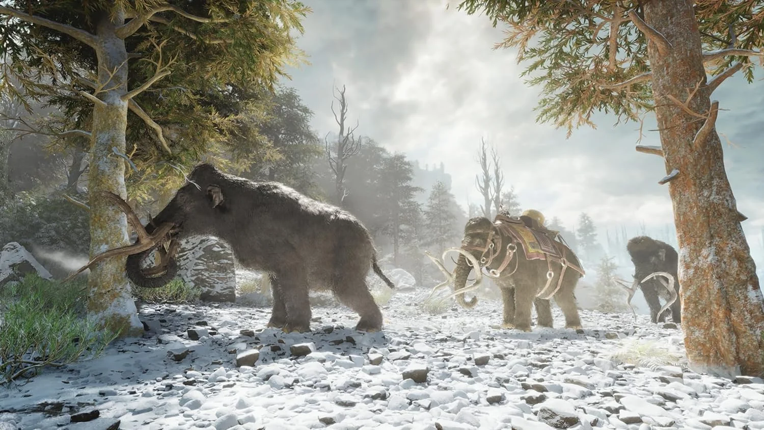 بازی ARK Survival Ascended برای PS5 - پلی استیشن 5 - اورجینال نو بازی ARK Survival Ascended برای PS5 - پلی استیشن 5 - اورجینال نو
