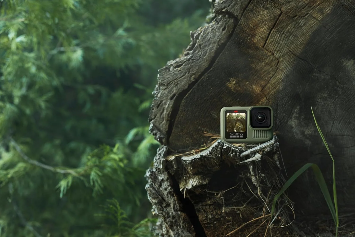 دوربین اکشن ضد آب GoPro HERO13 Black Forest Green (رنگ نسخه محدود) - فیلمبرداری 5.3K60، عکس 27 مگاپیکسل + سازگاری با لنزهای سری HB دوربین اکشن ضد آب GoPro HERO13 Black Forest Green (رنگ نسخه محدود) - فیلمبرداری 5.3K60، عکس 27 مگاپیکسل + سازگاری با لنزهای سری HB