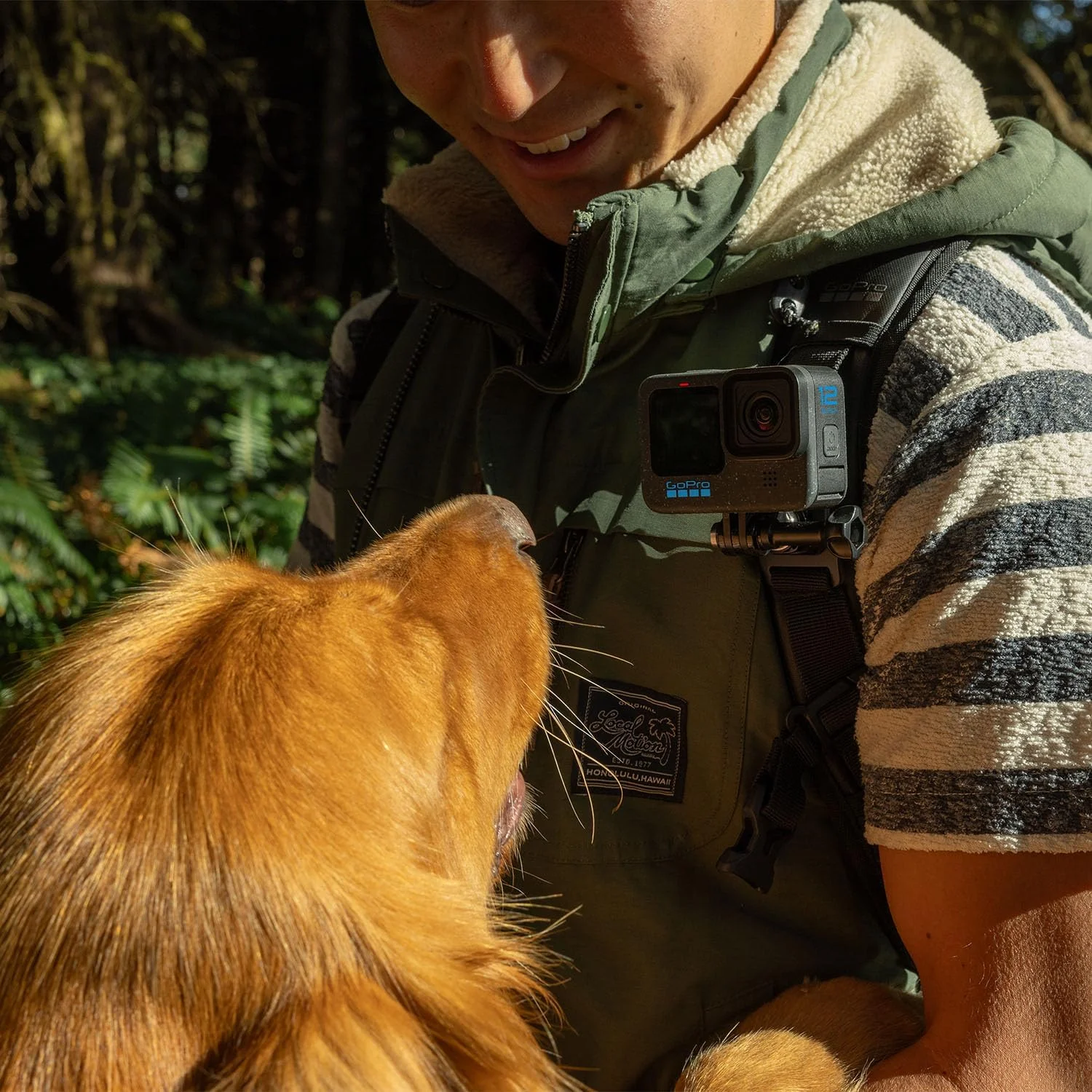 دوربین اکشن ضد آب GoPro HERO12 Black با فیلمبرداری 5.3K60 Ultra HD، عکس های 27 مگاپیکسلی، HDR، سنسور تصویر 1/1.9 اینچی، پخش زنده، وب کم، تثبیت کننده دوربین اکشن ضد آب GoPro HERO12 Black با فیلمبرداری 5.3K60 Ultra HD، عکس های 27 مگاپیکسلی، HDR، سنسور تصویر 1/1.9 اینچی، پخش زنده، وب کم، تثبیت کننده