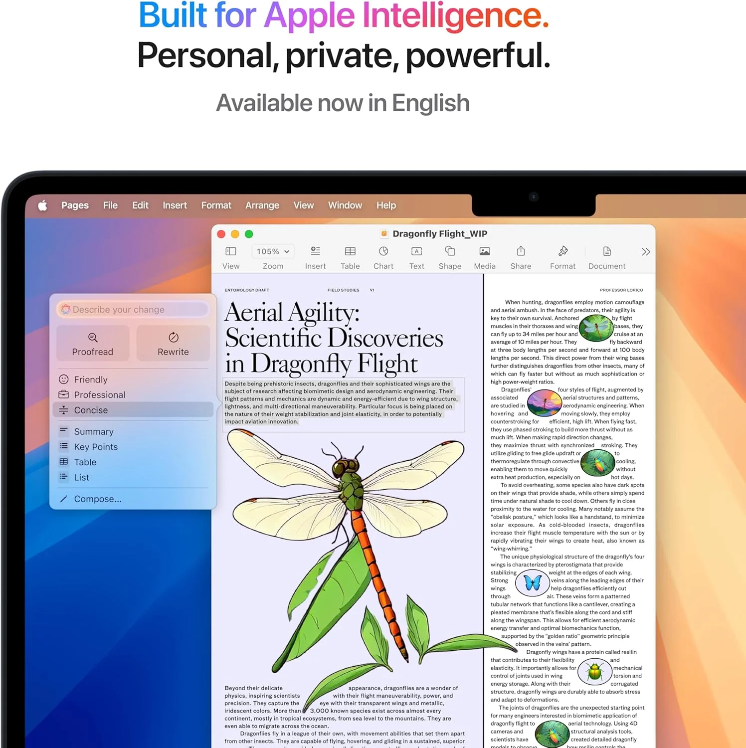 اپل مک بوک ایر 2025 (13.6 اینچ، تراشه Apple M4 با پردازنده 10 هسته ای و پردازنده گرافیکی 8 هسته ای، 16 گیگابایت حافظه یکپارچه، 256 گیگابایت) - نیمه شب؛ انگلیسی اپل مک بوک ایر 2025 (13.6 اینچ، تراشه Apple M4 با پردازنده 10 هسته ای و پردازنده گرافیکی 8 هسته ای، 16 گیگابایت حافظه یکپارچه، 256 گیگابایت) - نیمه شب؛ انگلیسی