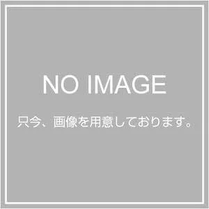 محافظ چراغ روشنایی پاناسونیک مدل CTP0789G نوع A (سبز)
