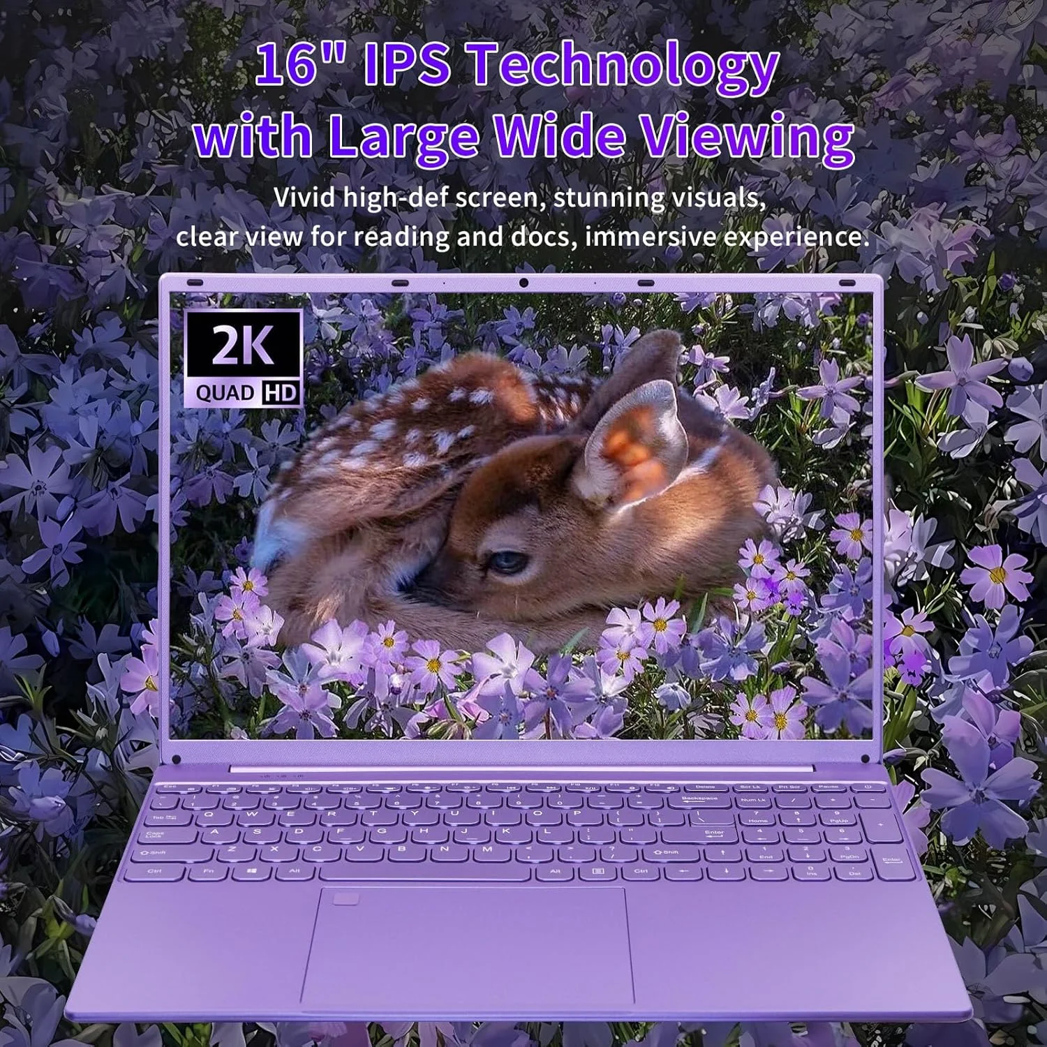 لپ تاپ بنفش BINTEC، صفحه نمایش 16 اینچی FHD IPS با حاشیه باریک، پردازنده Celeron N95 تا 3.4 گیگاهرتز، 12 گیگابایت DDR5، لپ تاپ ویندوز 11 با چهار هسته، صفحه کلید با نور پس زمینه رنگی/باز کردن قفل اثر انگشت/USB/بلوتوث بنفش/512 گیگابایت