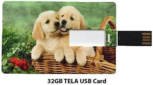 جدیدترین کامپیوتر رومیزی پرچمدار Dell Inspiron 24 5000 All in One با صفحه نمایش 23.8 اینچی FHD با حاشیه باریک، پردازنده Intel Core i3-10110U، رم 8 گیگابایتی، حافظه SSD 256 گیگابایتی، گرافیک Intel UHD، USB-C، Wifi5، ویندوز 10 پرو
