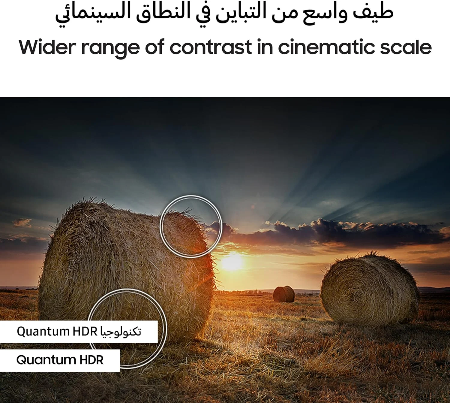 تلویزیون 65 اینچ QLED سامسونگ، QE1D، 4K، حجم رنگ 100% با Quantum Dot، ارتقاء کیفیت 4K، Samsung TV Plus، Quantum HDR، تلویزیون هوشمند Tizen، QA65QE1DAUXZN (نسخه امارات متحده عربی 2024) تلویزیون 65 اینچ QLED سامسونگ، QE1D، 4K، حجم رنگ 100% با Quantum Dot، ارتقاء کیفیت 4K، Samsung TV Plus، Quantum HDR، تلویزیون هوشمند Tizen، QA65QE1DAUXZN (نسخه امارات متحده عربی 2024)