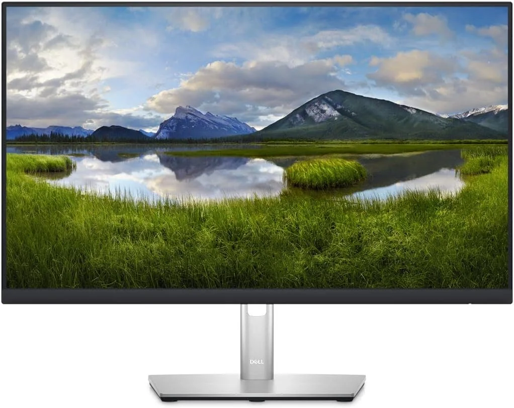 مانیتور 24 اینچی Dell P2423D IPS QHD WLED LCD با DisplayPort، HDMI، USB 3.2 Gen 1 - مشکی-نقره ای