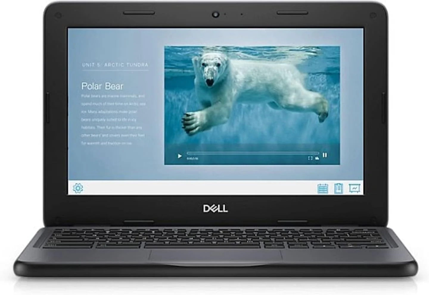 لپ تاپ Dell Chromebook 3100 (2019) | 11.6 اینچ HD | پردازنده Core Celeron - 16 گیگابایت SSD - 4 گیگابایت رم | 2 هسته ای Chrome OS (بازسازی شده) لپ تاپ Dell Chromebook 3100 (2019) | 11.6 اینچ HD | پردازنده Core Celeron - 16 گیگابایت SSD - 4 گیگابایت رم | 2 هسته ای Chrome OS (بازسازی شده)