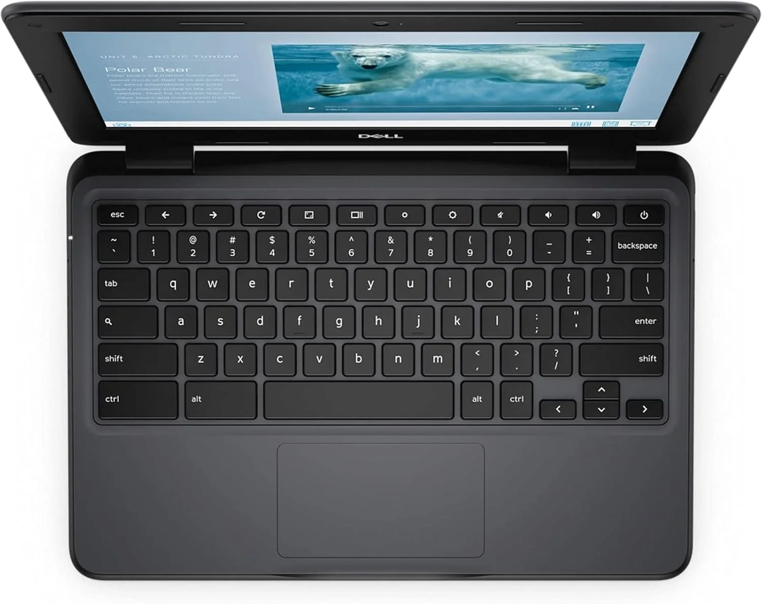 لپ تاپ Dell Chromebook 3100 (2019) | 11.6 اینچ HD | Core Celeron - 16GB SSD - 4GB RAM | 2 هسته سیستم عامل Chrome (بازسازی شده) لپ تاپ Dell Chromebook 3100 (2019) | 11.6 اینچ HD | Core Celeron - 16GB SSD - 4GB RAM | 2 هسته سیستم عامل Chrome (بازسازی شده)