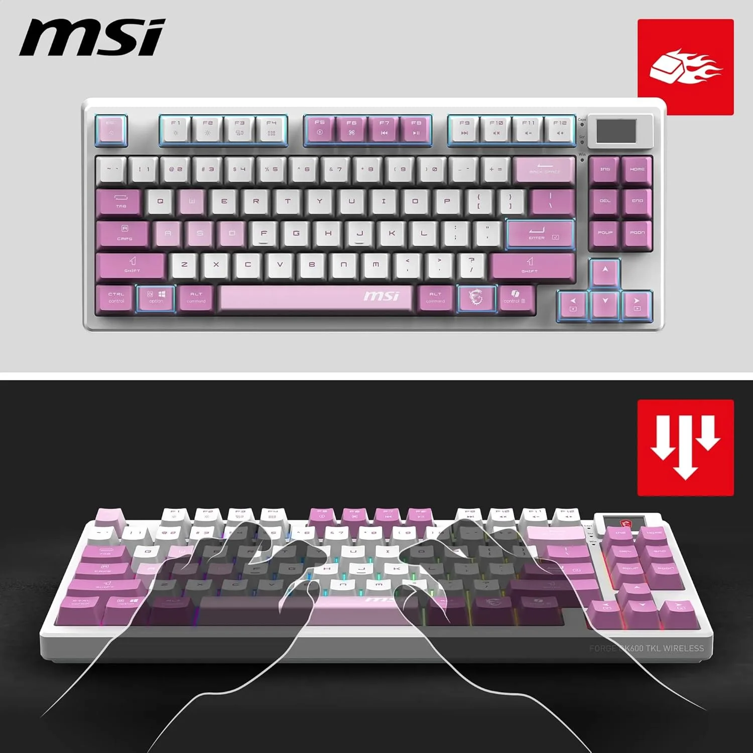 MSI Forge GK600 TKL W Violet FR