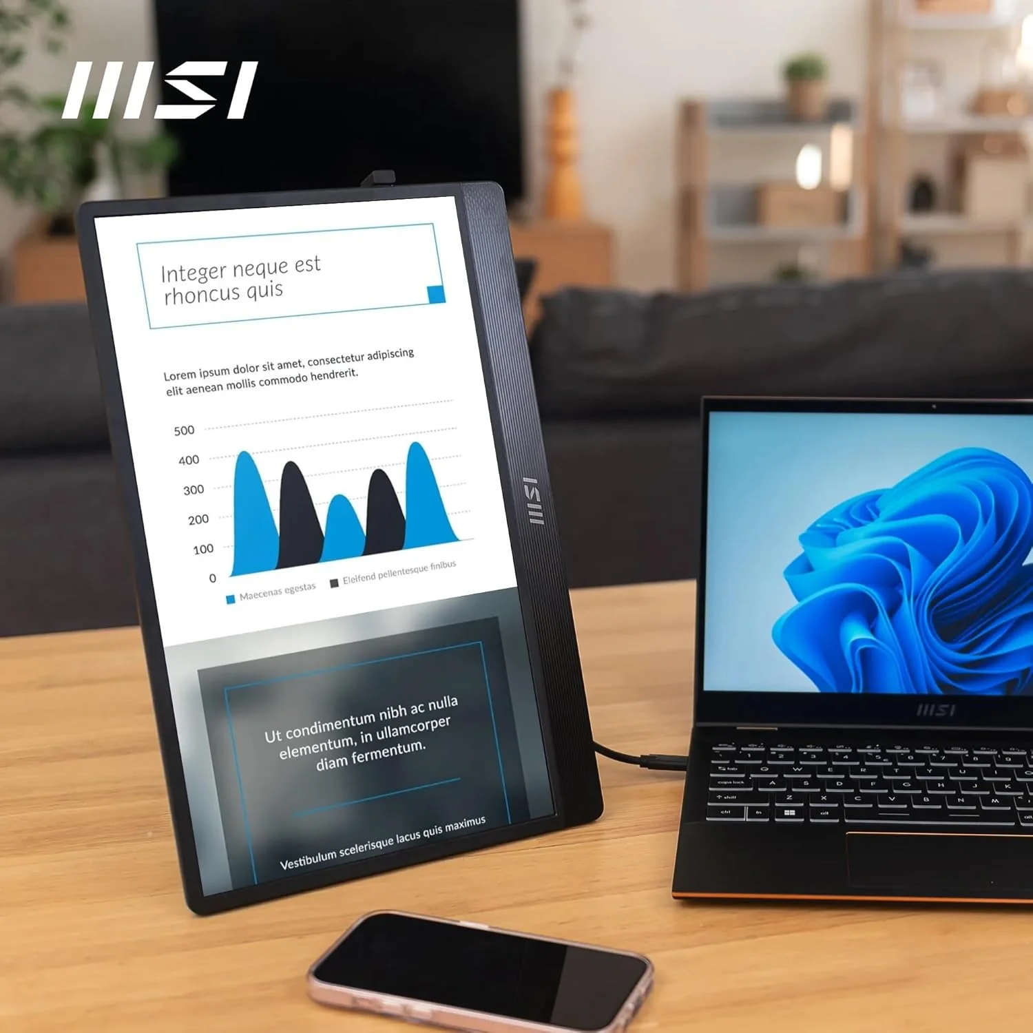مانیتور قابل حمل 15.6 اینچی فول اچ دی MSI PRO MP161 E2 - پنل IPS 1920x1080، 60 هرتز، صفحه نمایش محافظ چشم (PC، لپ تاپ، موبایل)، بلندگوها، شاسی و پایه بهبود یافته - Mini-HDMI 2.0b، 2 x USB Type-C