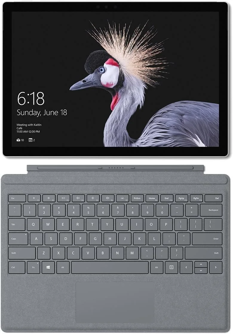 مایکروسافت سرفیس پرو (بازسازی شده) (پردازنده Intel Core i5، رم 8 گیگابایتی، 128 گیگابایت) همراه با کاور پلاتینیومی
