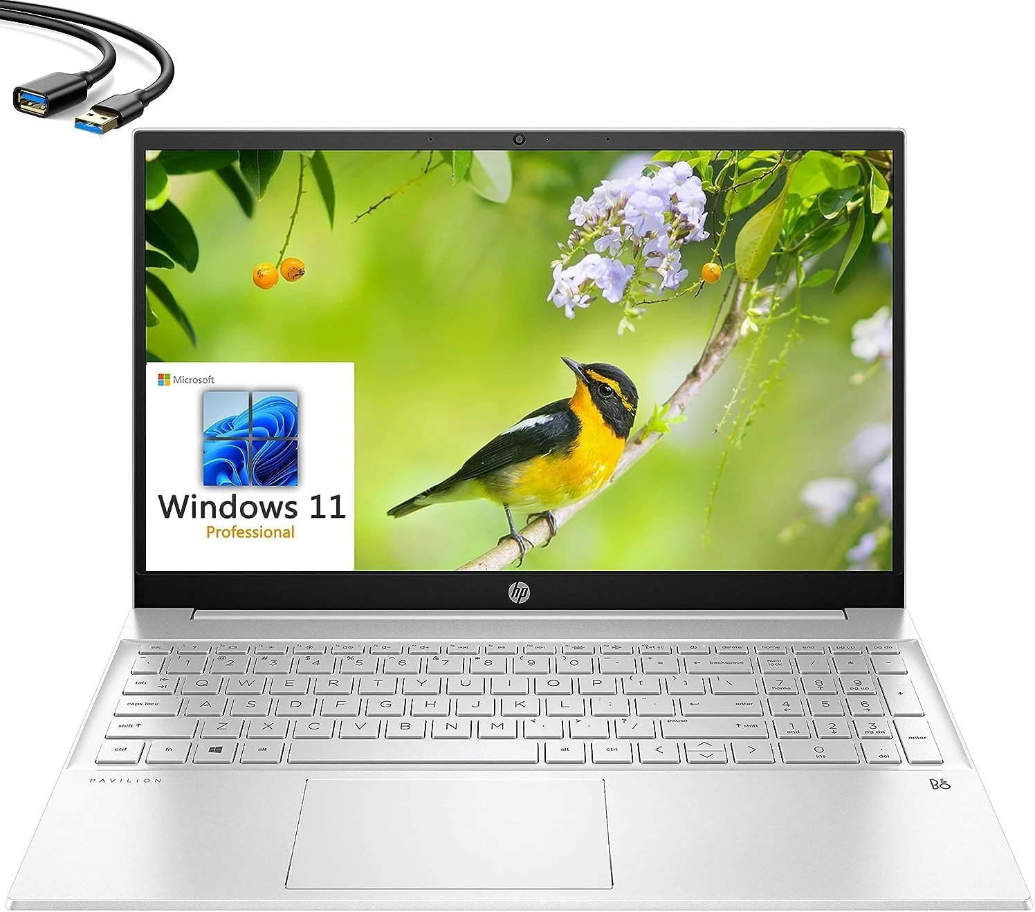 لپ تاپ تجاری HP Pavilion 15 مدل 2023 با صفحه نمایش 15.6 اینچی FHD، پردازنده نسل دوازدهم اینتل 10 هسته ای i7-1255U، رم 32 گیگابایتی DDR4، حافظه SSD 1 ترابایتی PCIe، وای فای 6، بلوتوث 5.2، رنگ نقره ای طبیعی، ویندوز 11 پرو، کابل افزایش طول USB 3.0 (ارتقا یافته)
