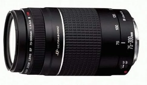لنز زوم تله فوتو Canon Ef 75-300mm F/4-5.6 Iii برای دوربین های SLR لنز زوم تله فوتو Canon Ef 75-300mm F/4-5.6 Iii برای دوربین های SLR