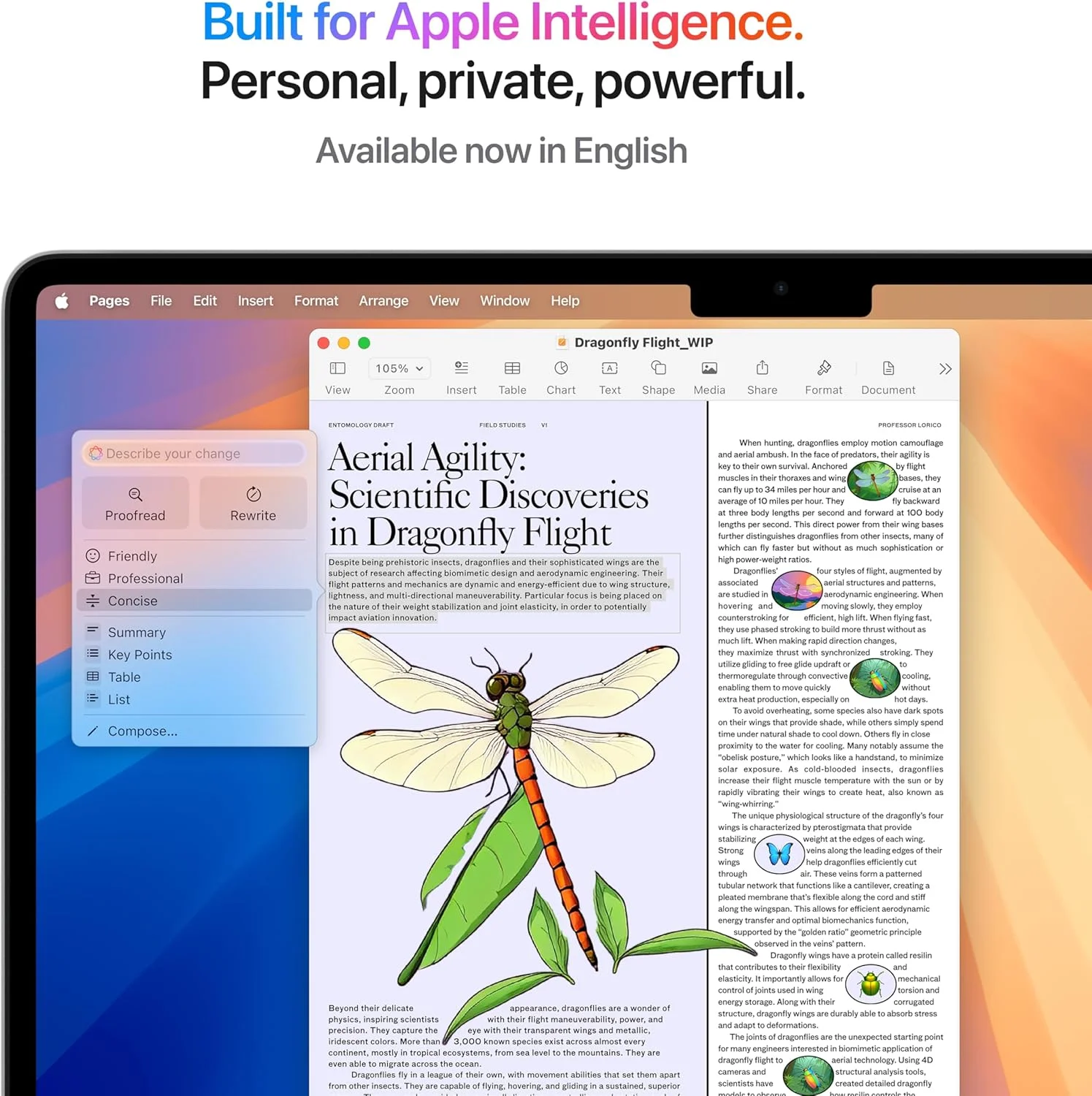 اپل مک بوک ایر 2025 (13 اینچی، تراشه Apple M4 با پردازنده 10 هسته ای و پردازنده گرافیکی 8 هسته ای، 16 گیگابایت حافظه یکپارچه، 256 گیگابایت) - نقره ای؛ انگلیسی اپل مک بوک ایر 2025 (13 اینچی، تراشه Apple M4 با پردازنده 10 هسته ای و پردازنده گرافیکی 8 هسته ای، 16 گیگابایت حافظه یکپارچه، 256 گیگابایت) - نقره ای؛ انگلیسی