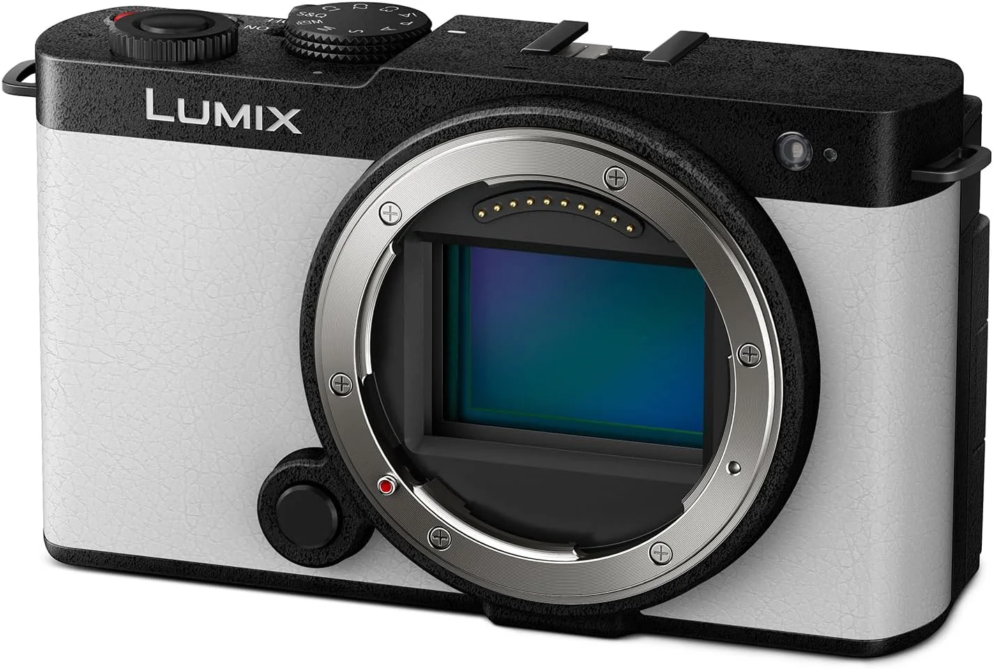 دوربین پاناسونیک Lumix S9، دوربین بدون آینه فول فریم برای ولاگ، سفید دودی، فقط بدنه، 24.2 مگاپیکسل، فیلمبرداری 6K / 4K، فوکوس خودکار 779 نقطه ای، تثبیت کننده تصویر، صفحه نمایش با زاویه آزاد، وای فای 5 گیگاهرتز