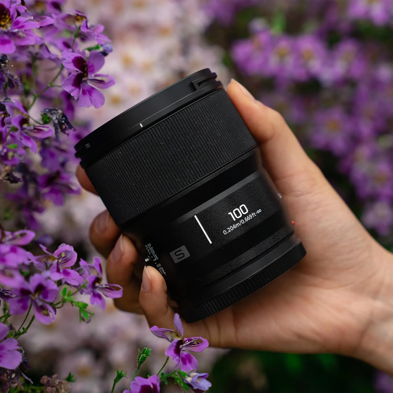 لنز دوربین فول فریم پاناسونیک LUMIX، S 100mm F2.8 Macro - S-E100