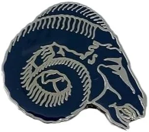پین لوگو گروه تخصصی حرفه ای NFL LA Rams، 1 اینچی، رنگ های تیمی، تک سایز، کوچک