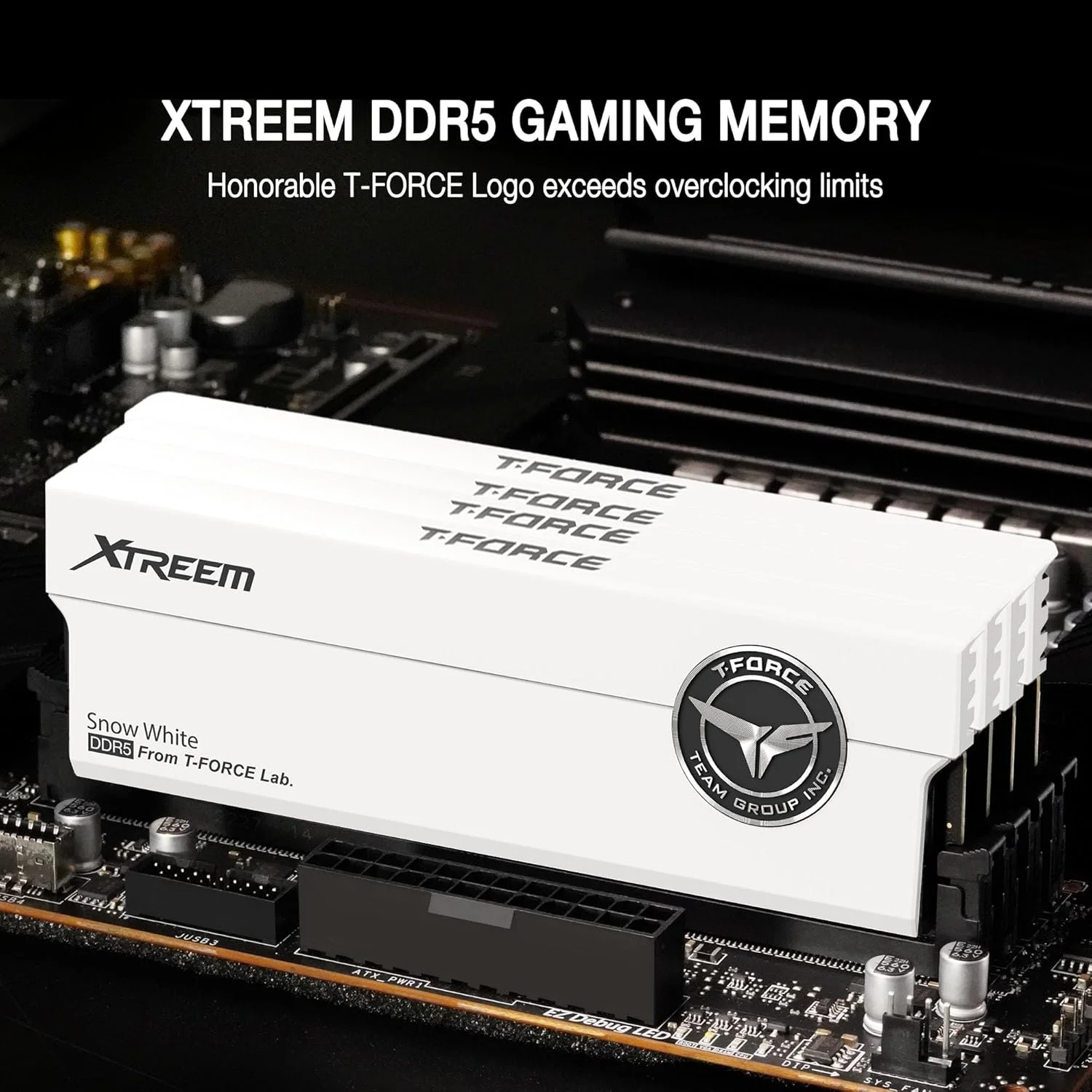 رم دسکتاپ TEAMGROUP T-Force XTREEM DDR5 با ظرفیت 48 گیگابایت (2x24GB) 8000MHz PC5-64000 CL38 M-DIE، سازگار با Intel XMP 3.0 و AMD Expo، سفید مدل FFWD548G8000HC38EDC01 رم دسکتاپ TEAMGROUP T-Force XTREEM DDR5 با ظرفیت 48 گیگابایت (2x24GB) 8000MHz PC5-64000 CL38 M-DIE، سازگار با Intel XMP 3.0 و AMD Expo، سفید مدل FFWD548G8000HC38EDC01