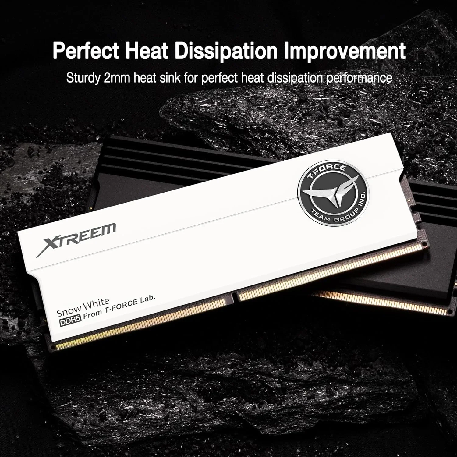 رم دسکتاپ TEAMGROUP T-Force XTREEM DDR5 با ظرفیت 48 گیگابایت (2x24GB) 8000MHz PC5-64000 CL38 M-DIE، سازگار با Intel XMP 3.0 و AMD Expo، سفید مدل FFWD548G8000HC38EDC01 رم دسکتاپ TEAMGROUP T-Force XTREEM DDR5 با ظرفیت 48 گیگابایت (2x24GB) 8000MHz PC5-64000 CL38 M-DIE، سازگار با Intel XMP 3.0 و AMD Expo، سفید مدل FFWD548G8000HC38EDC01