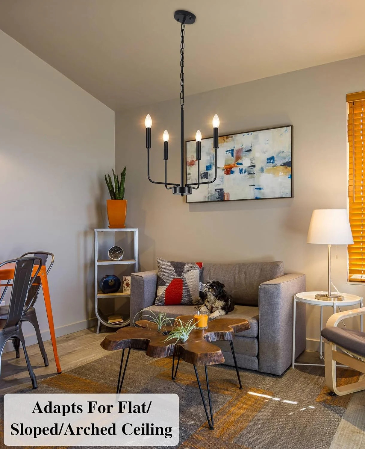 لوستر سقفی مشکی MRHYSWD برای اتاق نشیمن، چراغ آویز 4 شاخه، روشنایی سقفی صنعتی برای آشپزخانه، اتاق غذاخوری، اتاق خواب، راهرو، قابلیت تنظیم ارتفاع، لامپ های E14 (شامل نمی شود) لوستر سقفی مشکی MRHYSWD برای اتاق نشیمن، چراغ آویز 4 شاخه، روشنایی سقفی صنعتی برای آشپزخانه، اتاق غذاخوری، اتاق خواب، راهرو، قابلیت تنظیم ارتفاع، لامپ های E14 (شامل نمی شود)