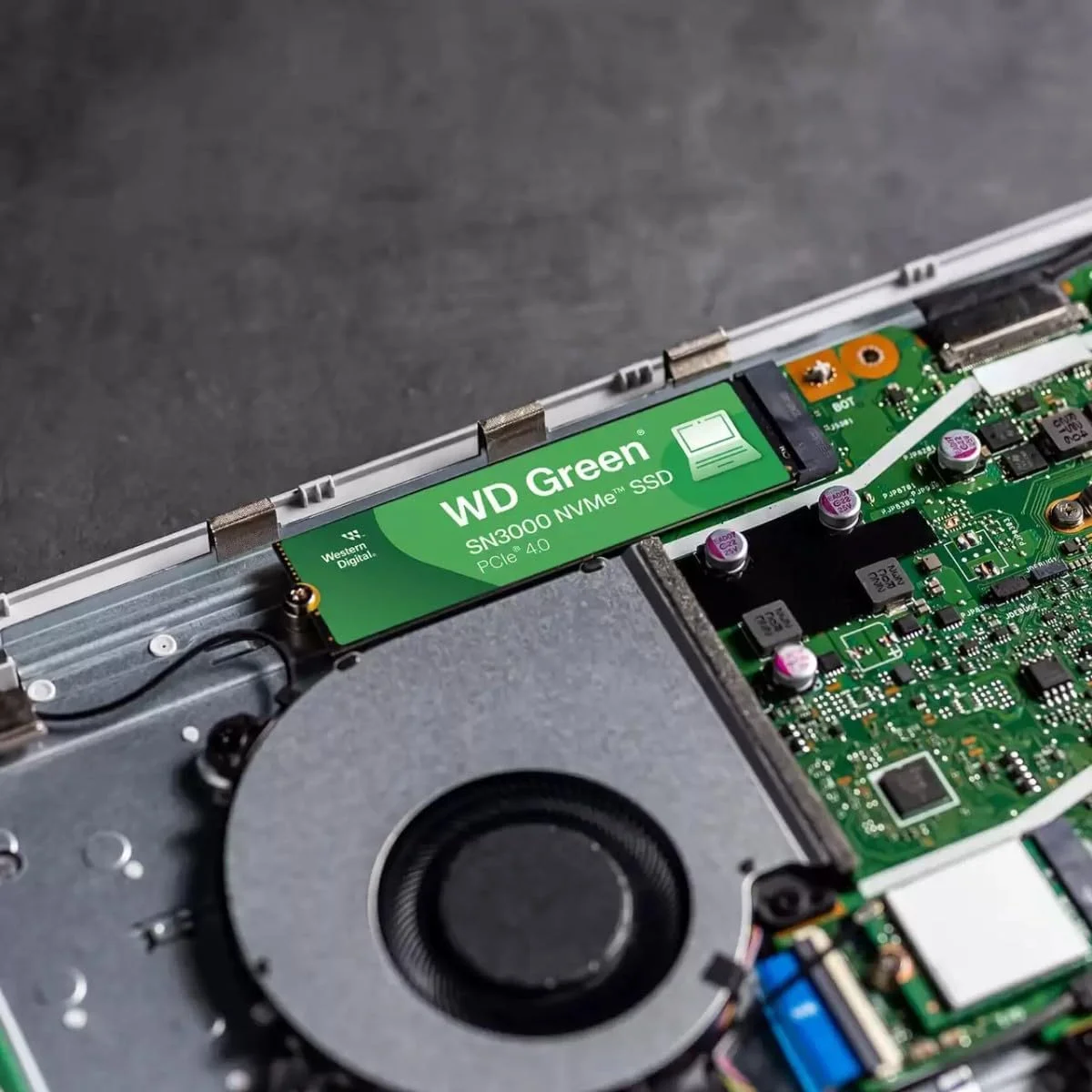 حافظه اس اس دی اینترنال وسترن دیجیتال 500 گیگابایت WD Green SN3000 NVMe - درایو حالت جامد - Gen4 PCIe، M.2 2280، تا 5000 مگابایت بر ثانیه - WDS500G4G0E حافظه اس اس دی اینترنال وسترن دیجیتال 500 گیگابایت WD Green SN3000 NVMe - درایو حالت جامد - Gen4 PCIe، M.2 2280، تا 5000 مگابایت بر ثانیه - WDS500G4G0E