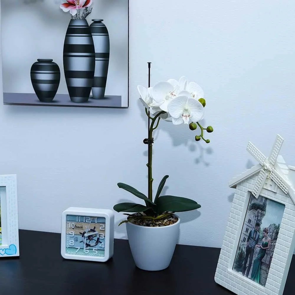 یاتای بسته 2 عددی گل ارکیده گلدانی، گل های مصنوعی ارکیده PU برای دکوراسیون، گیاه ارکیده فالانوپسیس واقعی با گلدان پلاستیکی، چیدمان گل واقعی برای دکور اتاق، دکوراسیون منزل (سفید) یاتای بسته 2 عددی گل ارکیده گلدانی، گل های مصنوعی ارکیده PU برای دکوراسیون، گیاه ارکیده فالانوپسیس واقعی با گلدان پلاستیکی، چیدمان گل واقعی برای دکور اتاق، دکوراسیون منزل (سفید)