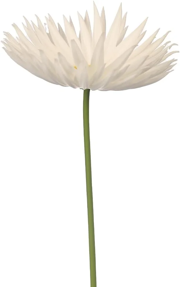 گل های مصنوعی گل مینا YATAI، 3 عدد گل داوودی ابریشمی با لمس واقعی، گل های مصنوعی بادوام و مقاوم در برابر اشعه ماوراء بنفش برای گلدان ها، گل های مصنوعی بدون نیاز به نگهداری برای دکوراسیون عروسی و منزل (سفید) گل های مصنوعی گل مینا YATAI، 3 عدد گل داوودی ابریشمی با لمس واقعی، گل های مصنوعی بادوام و مقاوم در برابر اشعه ماوراء بنفش برای گلدان ها، گل های مصنوعی بدون نیاز به نگهداری برای دکوراسیون عروسی و منزل (سفید)