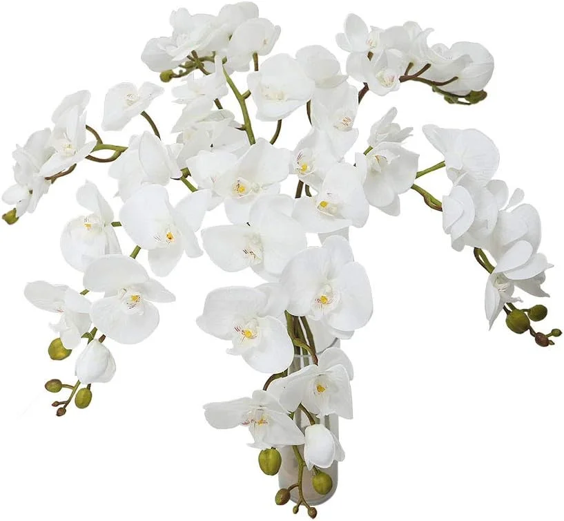 یاتای بسته 6 عددی گل ارکیده مصنوعی، گیاه ارکیده ابریشمی واقعی، گل های مصنوعی فالانوپسیس ماندگار، چیدمان گل های مصنوعی بدون نیاز به نگهداری، گل های مصنوعی برای تزئین، سفید یاتای بسته 6 عددی گل ارکیده مصنوعی، گیاه ارکیده ابریشمی واقعی، گل های مصنوعی فالانوپسیس ماندگار، چیدمان گل های مصنوعی بدون نیاز به نگهداری، گل های مصنوعی برای تزئین، سفید