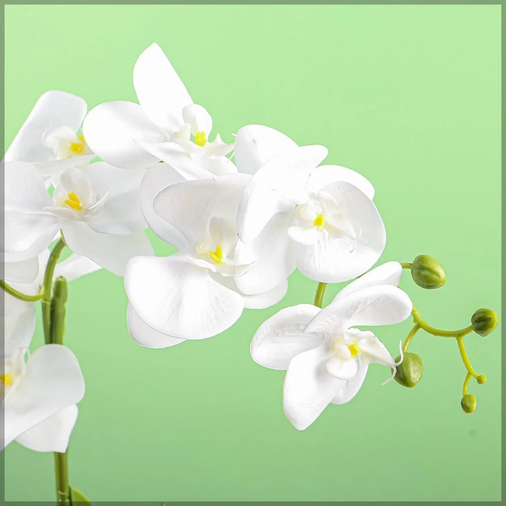 گل ارکیده مصنوعی YATAI، گل فالانوپسیس با کیفیت عالی و لمس واقعی، گل های مصنوعی لمسی واقعی برای دکوراسیون، نمایشگر گل مصنوعی بدون نیاز به نگهداری، گل های مصنوعی برای دکوراسیون منزل و محل کار (سفید)