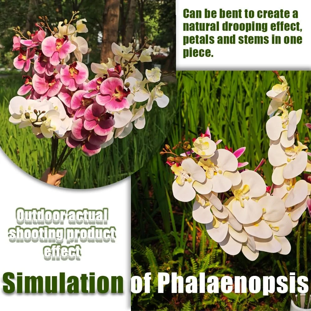 گل مصنوعی ارکیده 4 شاخه گل فالانوپسیس، گل های شکوفه مصنوعی 94 سانتی متری، گیاهان ساقه بلند نه سر برای خانه، دکوراسیون عروسی (سفید) گل مصنوعی ارکیده 4 شاخه گل فالانوپسیس، گل های شکوفه مصنوعی 94 سانتی متری، گیاهان ساقه بلند نه سر برای خانه، دکوراسیون عروسی (سفید)