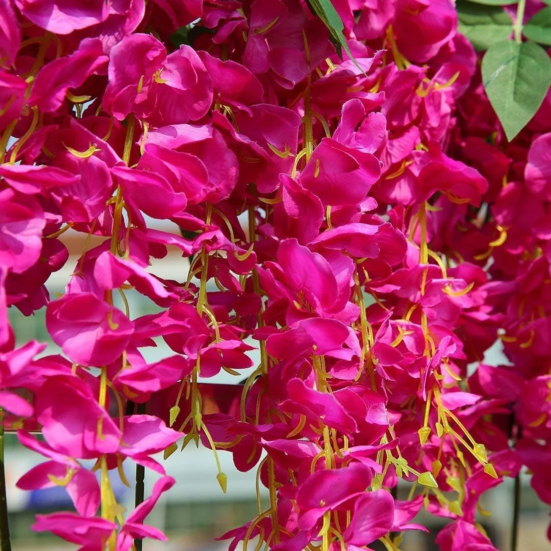 12 عدد گل ابریشمی مصنوعی ویستریا، گل آویز ابریشمی راتا برای دکوراسیون عروسی، رز قرمز 12 عدد گل ابریشمی مصنوعی ویستریا، گل آویز ابریشمی راتا برای دکوراسیون عروسی، رز قرمز