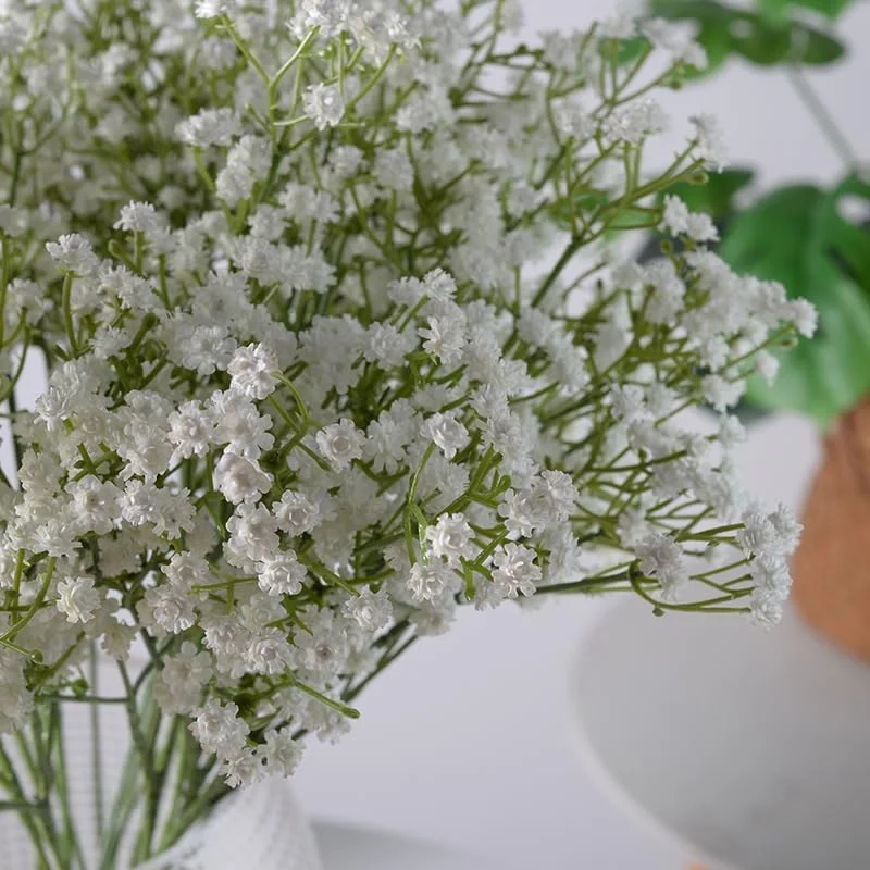 گل مصنوعی نفس کودک ChicAbode، 6 عدد گل نفس کودک سفید مصنوعی، دسته گل ژیپسوفیلا لمسی واقعی، برای عروسی، چیدمان گل، دکوراسیون مهمانی، دکوراسیون باغ گل مصنوعی نفس کودک ChicAbode، 6 عدد گل نفس کودک سفید مصنوعی، دسته گل ژیپسوفیلا لمسی واقعی، برای عروسی، چیدمان گل، دکوراسیون مهمانی، دکوراسیون باغ