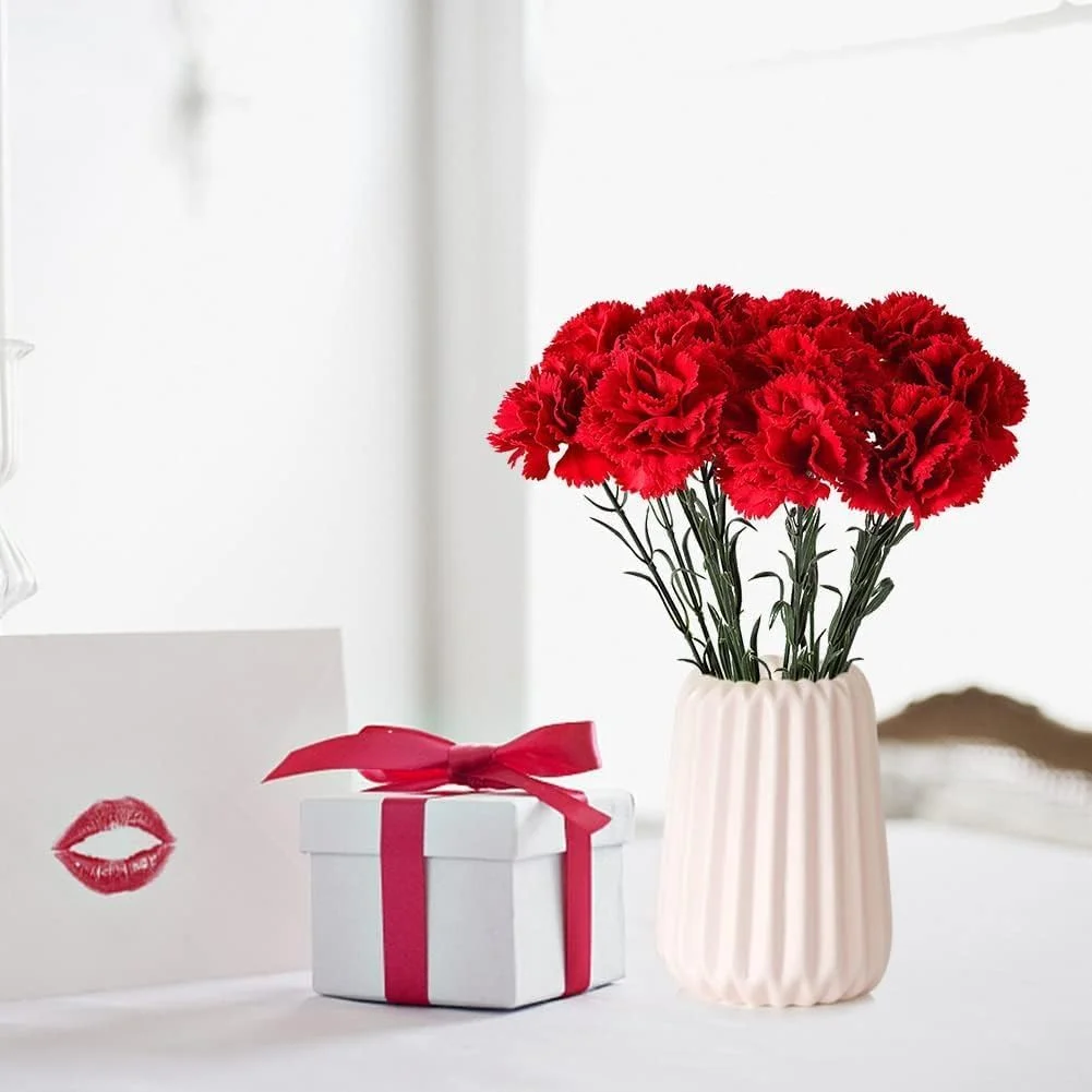 گل میخک مصنوعی FLYGIRL، 11 عددی، مقاوم در برابر اشعه ماوراء بنفش، بدون محو شدن، گل مصنوعی، گلبرگ های ابریشمی میخک مینیاتوری، گل های مصنوعی گیاهان همیشگی برای لوازم عکس، دکوراسیون مهمانی خانگی و عروسی (قرمز)