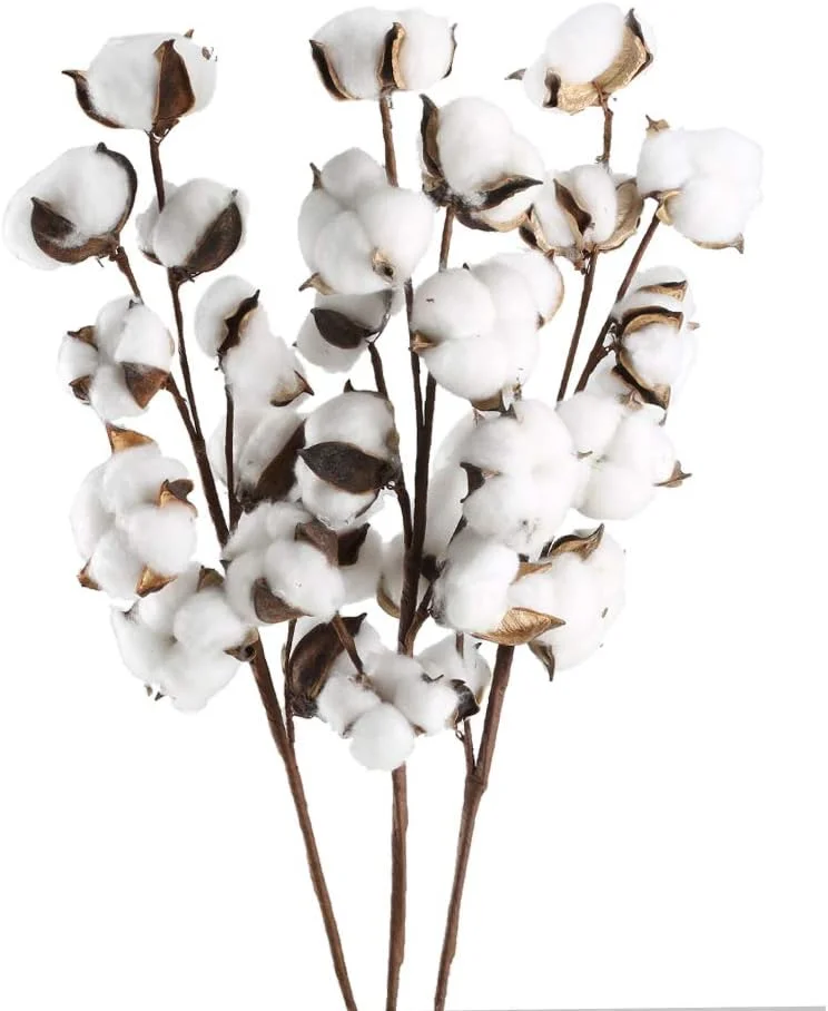 GTIDEA بسته 3 عددی ساقه پنبه ای 30 توپ گل پنبه گیاه گل آرایی خشک طبیعی برای خانه مزرعه پرکننده گلدان میز دکور تاج گل DIY (22 اینچ)