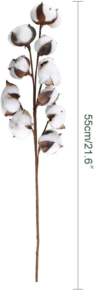 GTIDEA بسته 3 عددی ساقه پنبه ای 30 توپ گل پنبه گیاه گل آرایی خشک طبیعی برای خانه مزرعه پرکننده گلدان میز دکور تاج گل DIY (22 اینچ) GTIDEA بسته 3 عددی ساقه پنبه ای 30 توپ گل پنبه گیاه گل آرایی خشک طبیعی برای خانه مزرعه پرکننده گلدان میز دکور تاج گل DIY (22 اینچ)