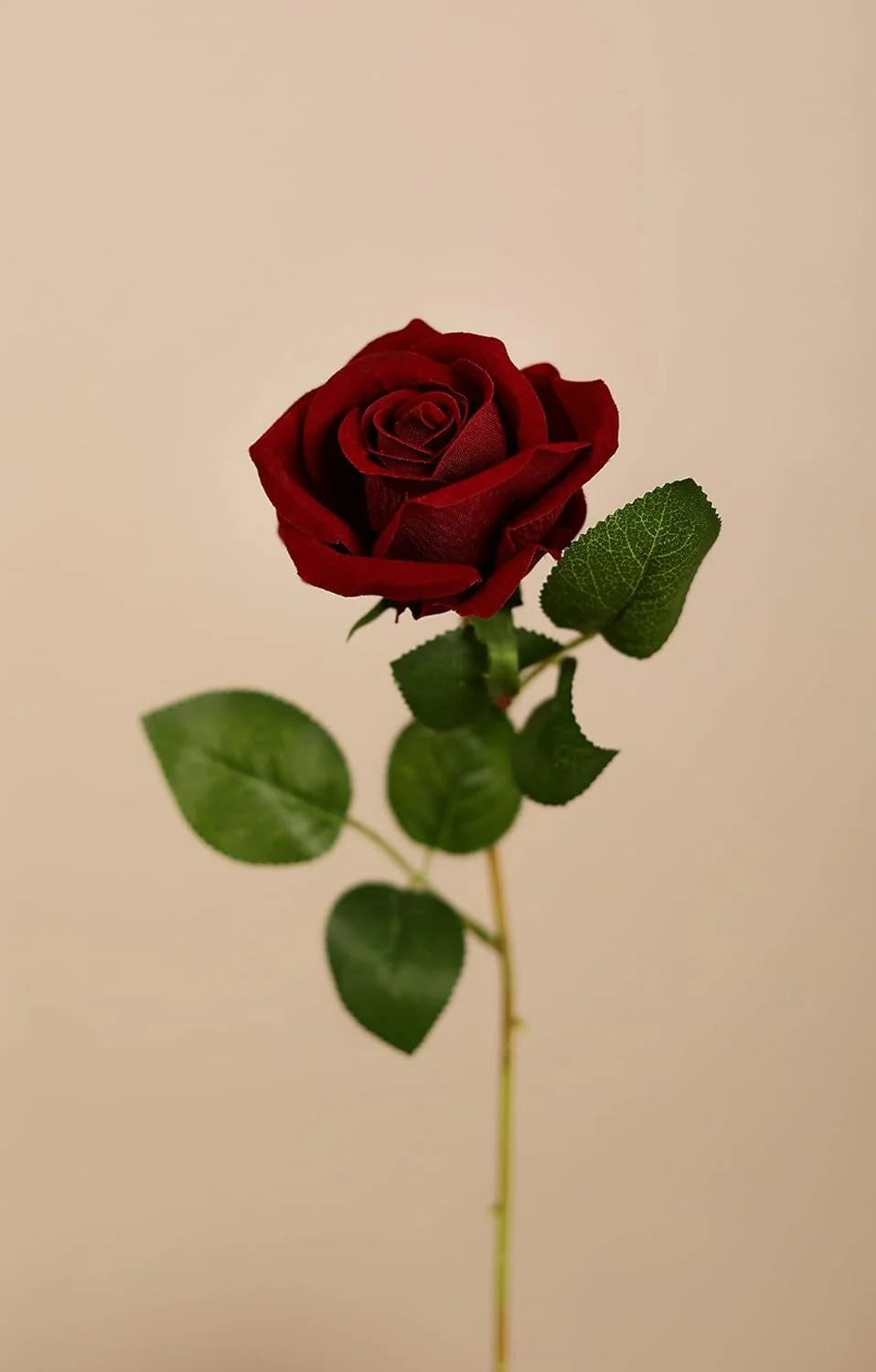 Luyue بسته 10 عددی گل رز مخملی مصنوعی، گل های ابریشمی رز قرمز مصنوعی با ساقه، هدیه گل برای تزئینات عروسی، مهمانی، دکوراسیون منزل - بورگاندی Luyue بسته 10 عددی گل رز مخملی مصنوعی، گل های ابریشمی رز قرمز مصنوعی با ساقه، هدیه گل برای تزئینات عروسی، مهمانی، دکوراسیون منزل - بورگاندی