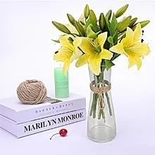 گل های مصنوعی سوسن ببری RERXN، گل های لاتکس، دکوراسیون منزل و جشن عروسی، بسته 5 عددی زرد گل های مصنوعی سوسن ببری RERXN، گل های لاتکس، دکوراسیون منزل و جشن عروسی، بسته 5 عددی زرد