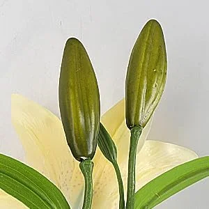 گل های مصنوعی سوسن ببری RERXN، گل های لاتکس، دکوراسیون منزل و جشن عروسی، بسته 5 عددی زرد گل های مصنوعی سوسن ببری RERXN، گل های لاتکس، دکوراسیون منزل و جشن عروسی، بسته 5 عددی زرد