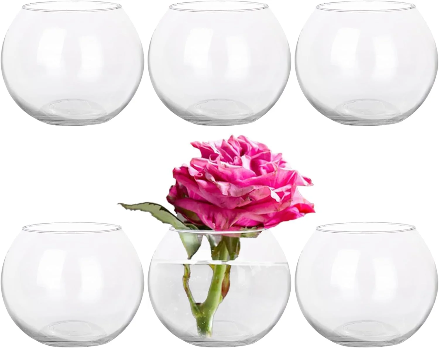 ست 6 عددی گلدان شیشه ای حبابی گرد کوچک 2 اینچی Vsell24، گلدان شیشه ای گرد برای آکواریوم، عروسی، مراسم، تزئین، گل آرایی، گل، دفتر، تزیین میز مهمانی، دکوراسیون منزل