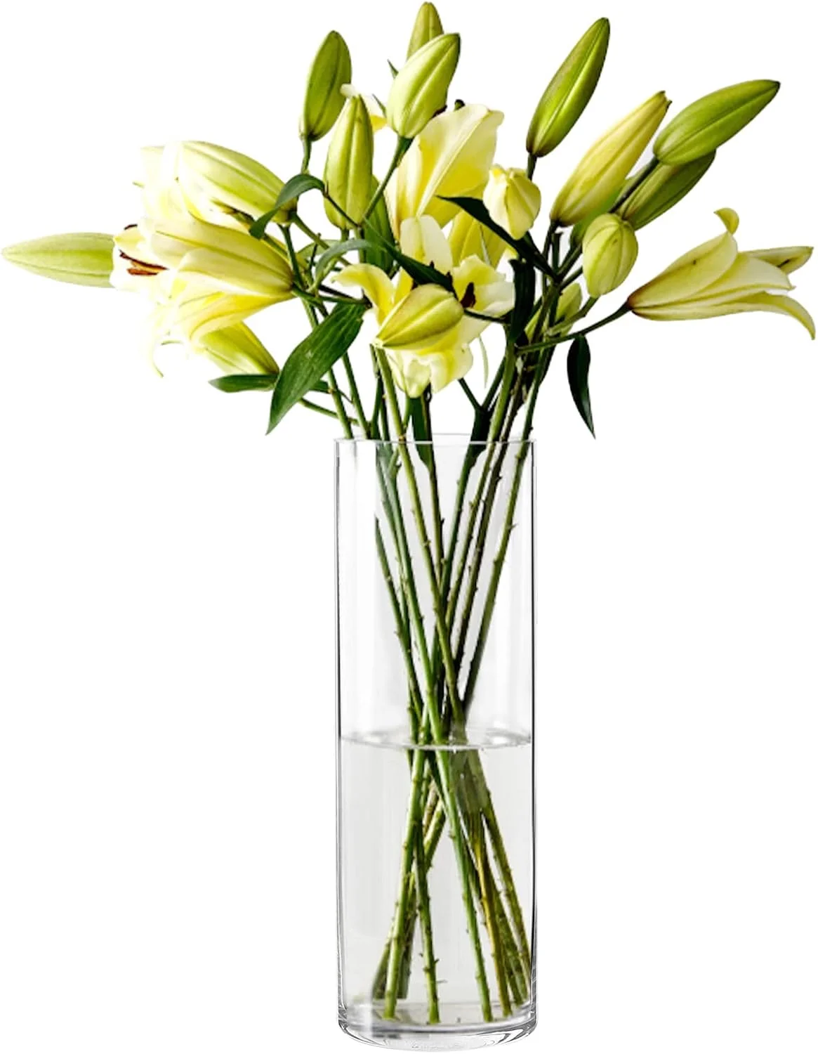 گلدان استوانه ای شیشه ای بزرگ BIGIVACA، بسته 1 عددی، ارتفاع 30 سانتی متر، گلدان های شفاف برای تزیین میز، جاشمعی شناور، مناسب برای تزیین میز عروسی، مهمانی، رویداد، دکوراسیون منزل و دفتر (ارتفاع: 30 سانتی متر، عرض: 10 سانتی متر)