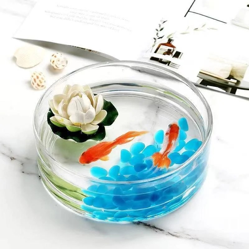 گلدان استوانه ای شیشه ای پهن YOUEON، 10 سانتی متر ارتفاع × 20 سانتی متر عرض، تراریوم شیشه ای استوانه ای، گلدان گل تزئینی برای مجالس عروسی، شمع ستونی، گل آرایی، شفاف