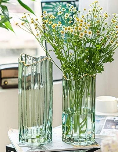 گلدان شیشه ای بلند PEPAXON برای گل، گلدان سبز استوانه ای بزرگ و سنگین، دکوراسیون منزل، 12x30 سانتی متر