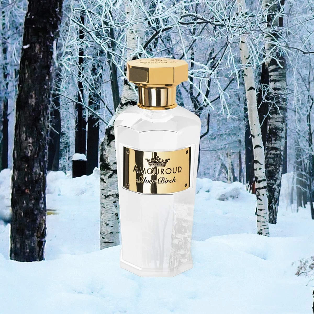 عطر آمورود سیلور برچ унисекс، ۱۰۰ میلی لیتر عطر آمورود سیلور برچ унисекс، ۱۰۰ میلی لیتر