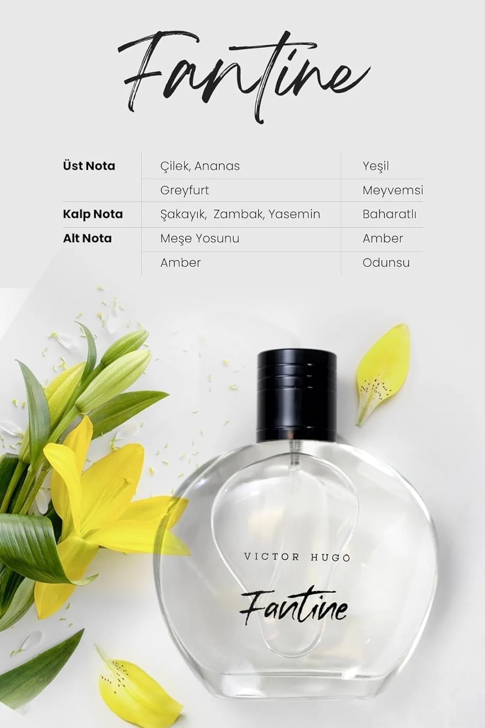 عطر ادکلن زنانه ویکتور هوگو 100 میلی لیتر (3.4 Fl.Oz) (فانتین) عطر ادکلن زنانه ویکتور هوگو 100 میلی لیتر (3.4 Fl.Oz) (فانتین)