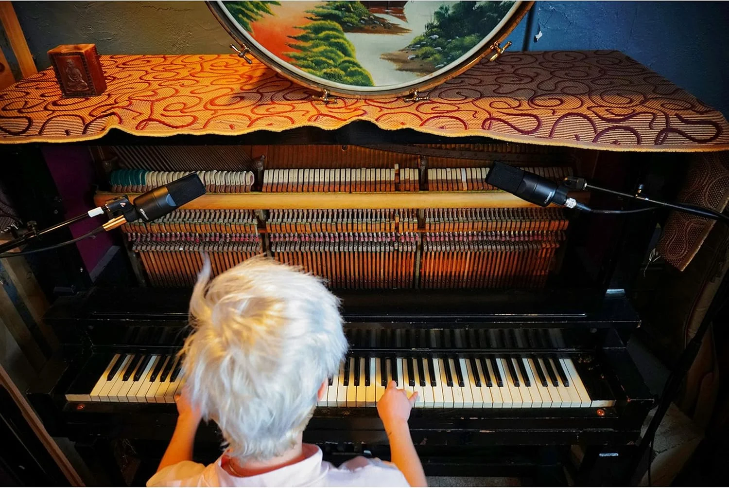 میکروفون sE Electronics X1 S میکروفون sE Electronics X1 S