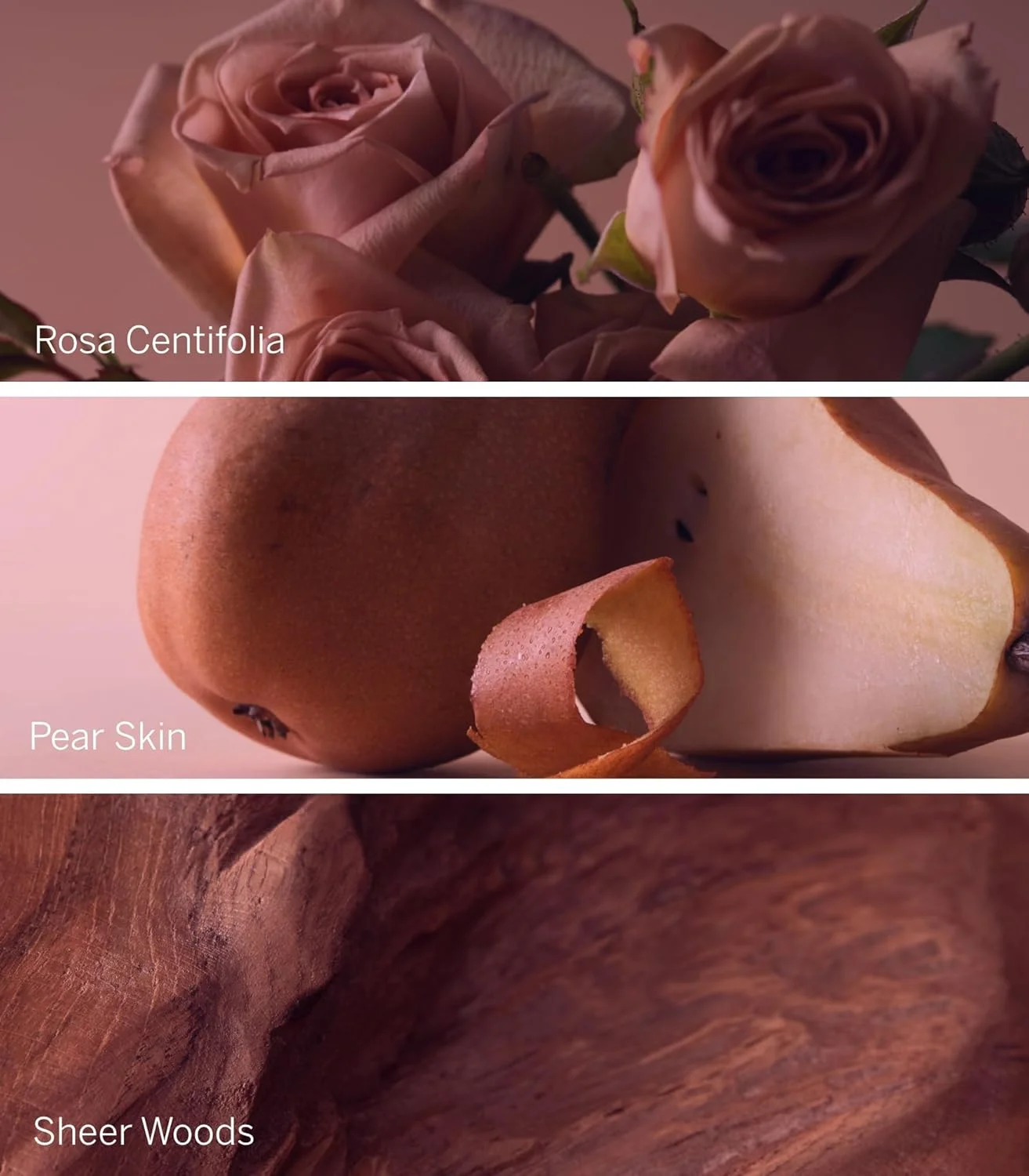 ویکتوریا سکرت Bare Rose ادو پرفیوم، رایحه پوست گلابی، رز سانتیفولیا و چوب های شفاف، عطر زنانه (100 میلی لیتر) ویکتوریا سکرت Bare Rose ادو پرفیوم، رایحه پوست گلابی، رز سانتیفولیا و چوب های شفاف، عطر زنانه (100 میلی لیتر)