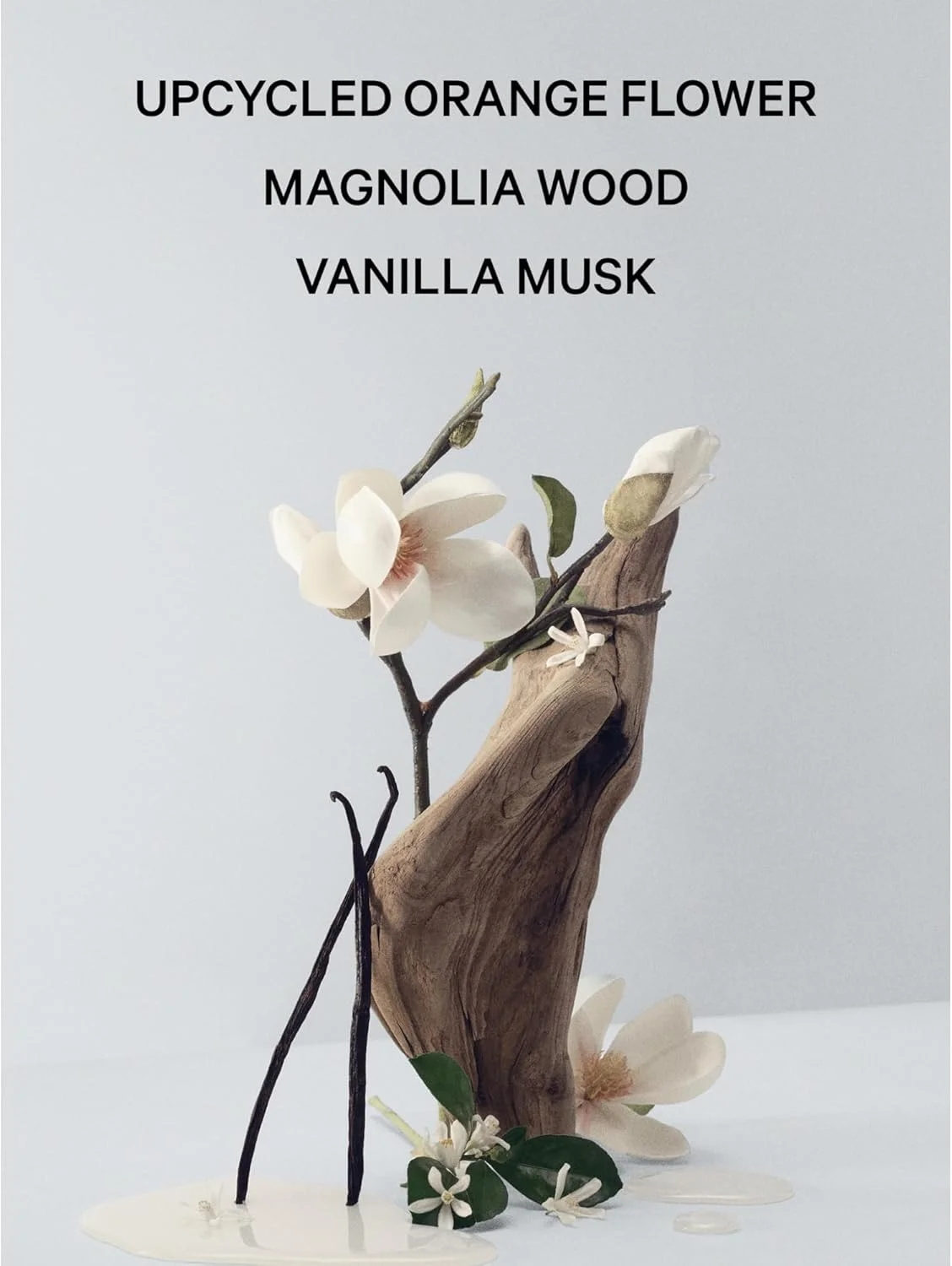 ویکتوریا سکرت Bare Magnolia Eau de Parfum، رایحه گل پرتقال، چوب و وانیل مشک، عطر زنانه (100 میلی لیتر) ویکتوریا سکرت Bare Magnolia Eau de Parfum، رایحه گل پرتقال، چوب و وانیل مشک، عطر زنانه (100 میلی لیتر)
